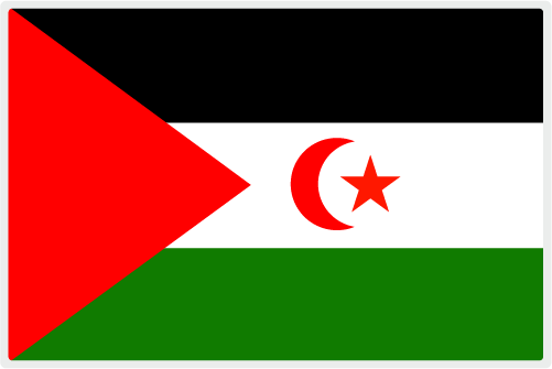 西撒哈拉國旗