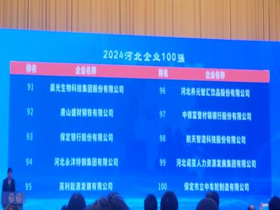 熱烈祝賀丨諾亞人力集團榮登河北企業(yè)百強、蟬聯(lián)河北服務(wù)業(yè)企業(yè)百強榜單！